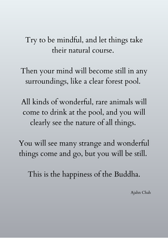 The happiness of the Buddha, a short instruction by Ajahn Chah
Try to be mindful, and let things take their natural course.
Then your mind will become still in any surroundings, like a clear forest pool.
All kinds of wonderful, rare animals will come to drink at the pool, and you will clearly see the nature of all things.
You will see many strange and wonderful things come and go, but you will be still.
This is the happiness of the Buddha.